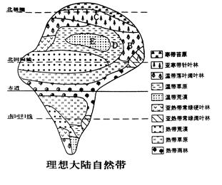 讀理想大陸自然帶示意圖,回答各題