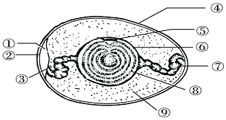 如图为鸟卵结构示意图请据图回答下列问题