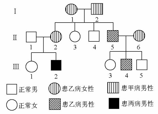 其中甲病为地中海贫血症(一种常染色体隐性遗传病,显性基因用a表示