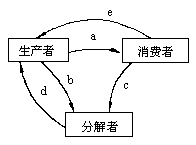 分解者怎么画图片