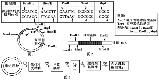 乳腺生物反应器流程图图片