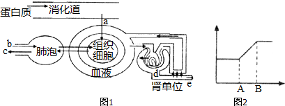 如圖1為人體部分生理過程示意簡圖,其中a,b,c表示不同物質,d,e表示不