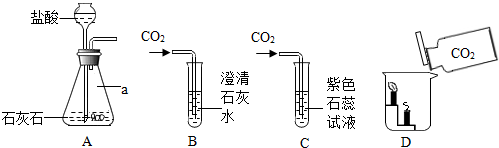 (2)研究二氧化碳性质实验时,老师先做b实验,发现导管口有气泡