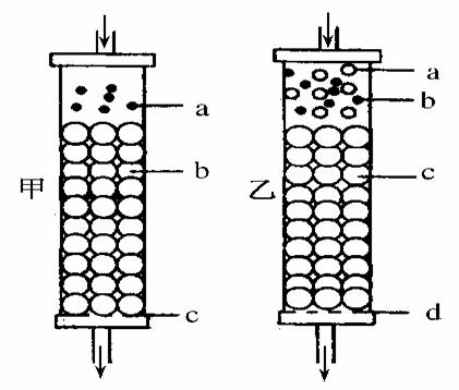 如图中甲为固定化细胞的反应柱示意图,乙为凝胶色谱柱示意图,据图作