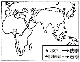 北京雨燕迁徙路线地图图片