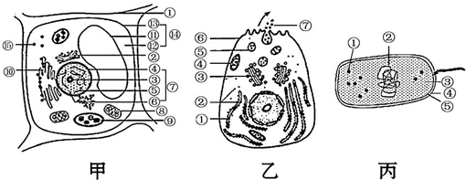 如圖是細胞的亞顯微結構模式圖,請據圖回答