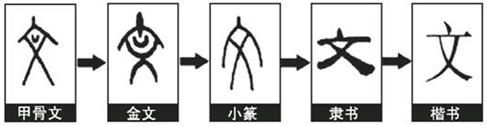 汉字文的书写变化的过程如下图所示,从中我们可以解读出