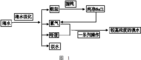 如图1是从海水中提取食盐和溴的主要流程.