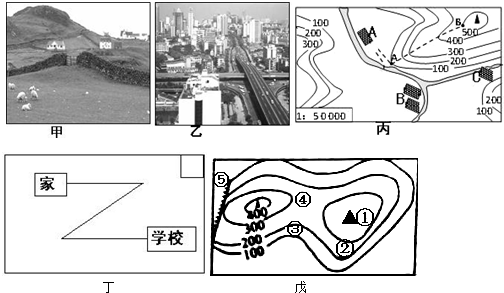 (1)圖甲所示為___聚落,圖乙所示為___聚落.