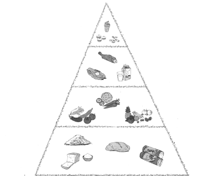 part ii e look and write (看图,完成句子,从上往下介绍食物金字塔的