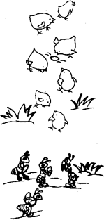 林中鸡群图简笔画图片