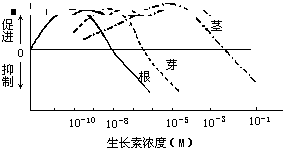 曲线图,根据图回答下列问题(1)促进根,芽,茎生长的生长素浓度分别是