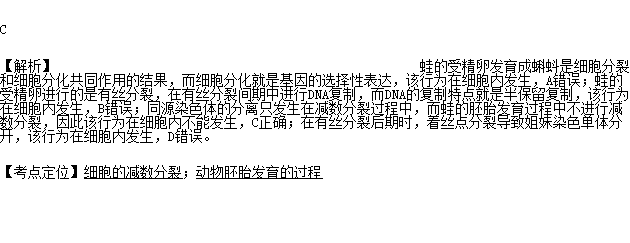 蛙的受精卵發育成原腸胚的過程中,下列行為在細胞內不能發生的是a.