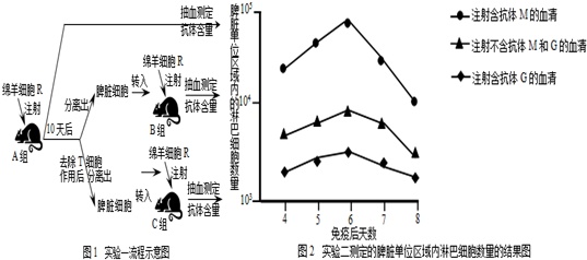 实验一:把不带特殊病原体的小鼠分为三组,进行如下特异性免疫实验