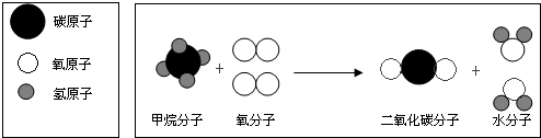 反應的微觀示意圖:請依據該圖示回答下列問題(不利用相對原子質量):(1