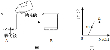 下图,自主学习小组同学实验探究氧化镁与稀盐酸反应后溶液中溶质成分.