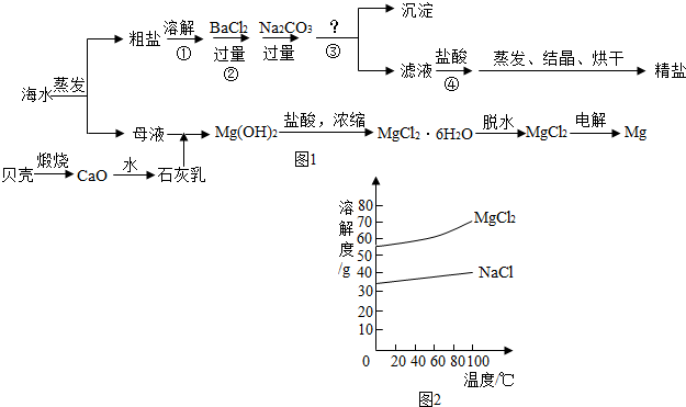 海水可同時生產氯化鈉和金屬鎂或鎂的化合物等產品,其流程如圖1所示