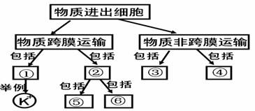 右图是物质进出细胞方式的概念图,对图示分析正确的是 ( )