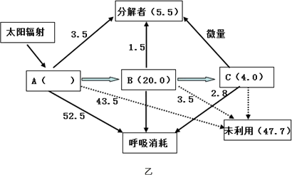 圖乙為該湖泊生態系統能量流動圖解,其中a,b,c代表3個營養級,數字均為