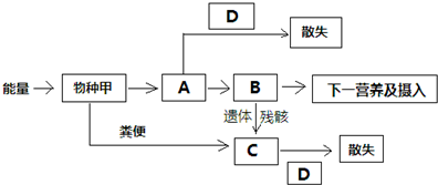 生態系統如果發生大火後,隨著時間推移,該地方的群落結構重新趨於穩定