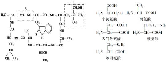 季胺基结构式图片