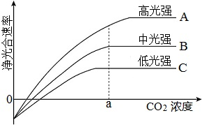 (3)co 2浓度大于a时,限制曲线b,c净光合速率进一步增大的环境因素是
