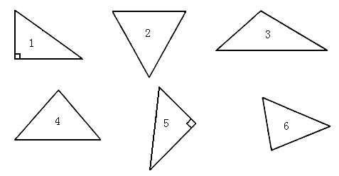 (2) 按角來分: _____ 是銳角三角形; _____ 是鈍角三角形; ____ 是