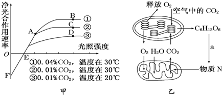 (2)乙圖中物質n是___,過程a反應的場所是___.