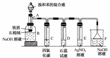 (1)苯和溴的取代反应的实验装置如图所示,其中a为具支试管改制成的