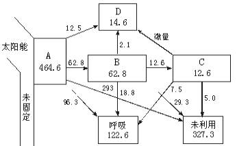 下图是测定某湖泊的能量流动的情况图解 ( 单位: j/cm 2 / 年 ) ,据图