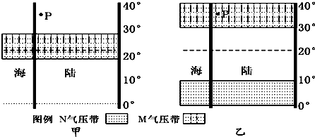 幼鸽换羽时间和规律图图片