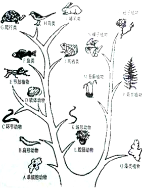 【閱讀下面的生物