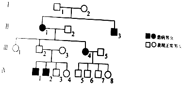 (2)Ⅲ-1的基因型為___,若Ⅳ-4與不含有致病基因的男性婚配,生育了一