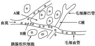 (3)体内细胞产生的代谢废物如尿素,从内环境排出体外要经过