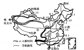 四横三纵图图片