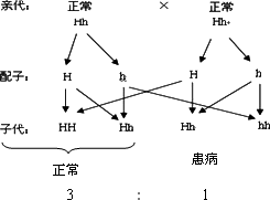 (1)常染色體隱性遺傳 (2)伴x顯性遺傳 伴y遺傳 (3)①(4分)