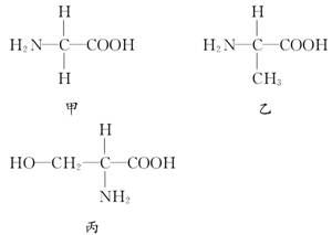 氨基酸的结构特点(氨基酸是什么的基础成分)
