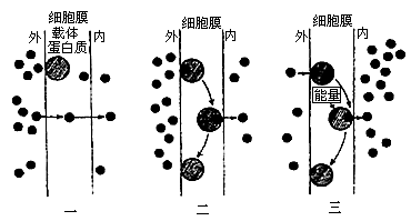 下图为物质出入细胞的三种方式(黑点代表物质分子)