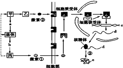 激素是調節生命活動的信息分子,能把某種調節的信息由內分泌細胞攜帶