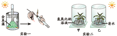 (1)在实验一中,试管内收集的气体是金鱼藻在光下进行