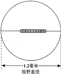 如圖表示放大倍數為100的顯微鏡視野,視野中的細胞表示洋蔥鱗片葉內