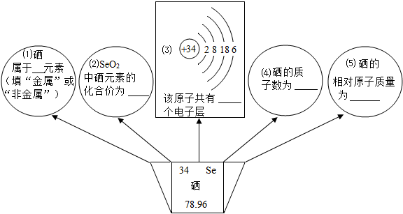 请结合硒元素的身份证信息填空