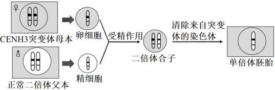 作业帮