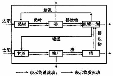 桑基魚塘是我國南方地區的生態農業模式,讀桑基魚塘示意圖,回答問題.