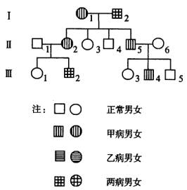 a .甲病為常染色體顯性遺傳病 b .乙病由 x 染色體隱性基因控制