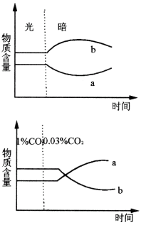 三碳化合物的还原图片