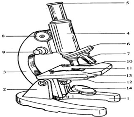 如图是显微镜结构图