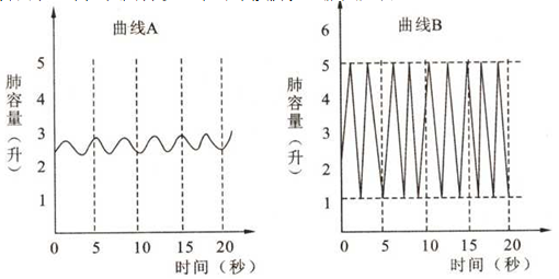 下图两曲线表示一个人在两种状态下的呼吸情况据图回答