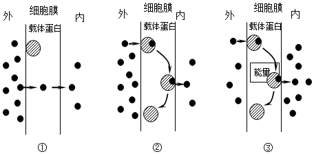 如图为物质进出细胞的三种方式示意图,请据图回答(内填代号,横线上填