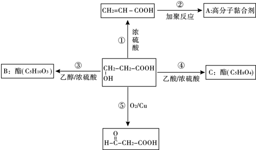 乙醇的催化氧化方程式图片